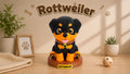 Cane Rottweiler – Versione classica
